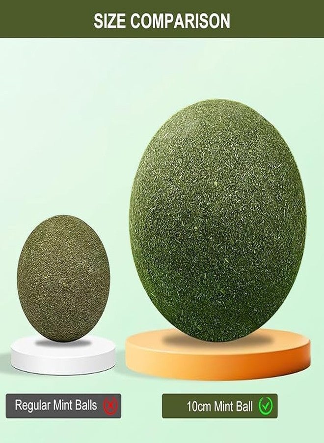 GODFLY لعبة كرة النعناع البري من جود فلاي - كرة نعناع صالحة للأكل للقطط، لعبة مضغ طبيعية وصحية لتنظيف الأسنان، لعبة مخالب تفاعلية للقطط الصغيرة والقطط الكبيرة (قطعتان، أخضر) - Image 3